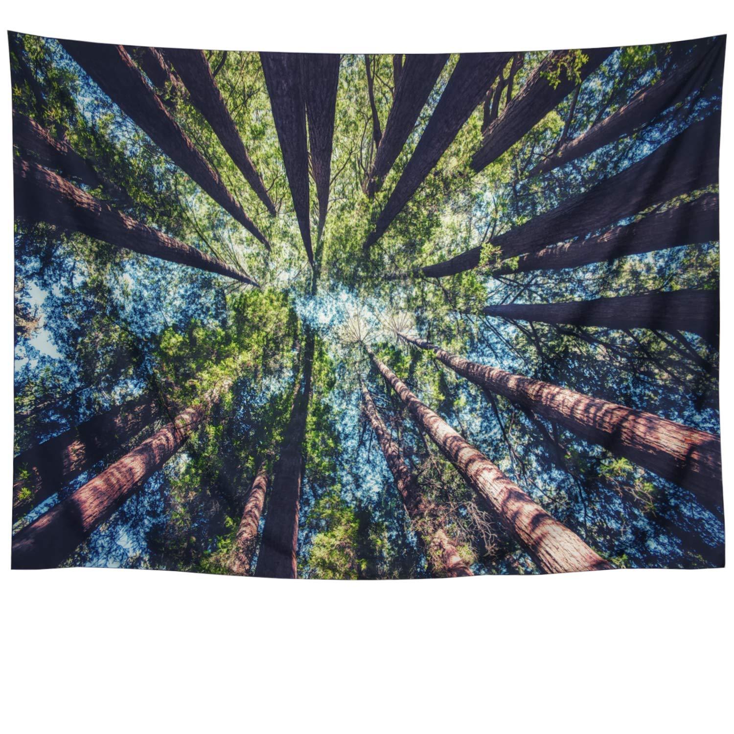 Day Sky Forest Looking Up Art Wall Tapestry