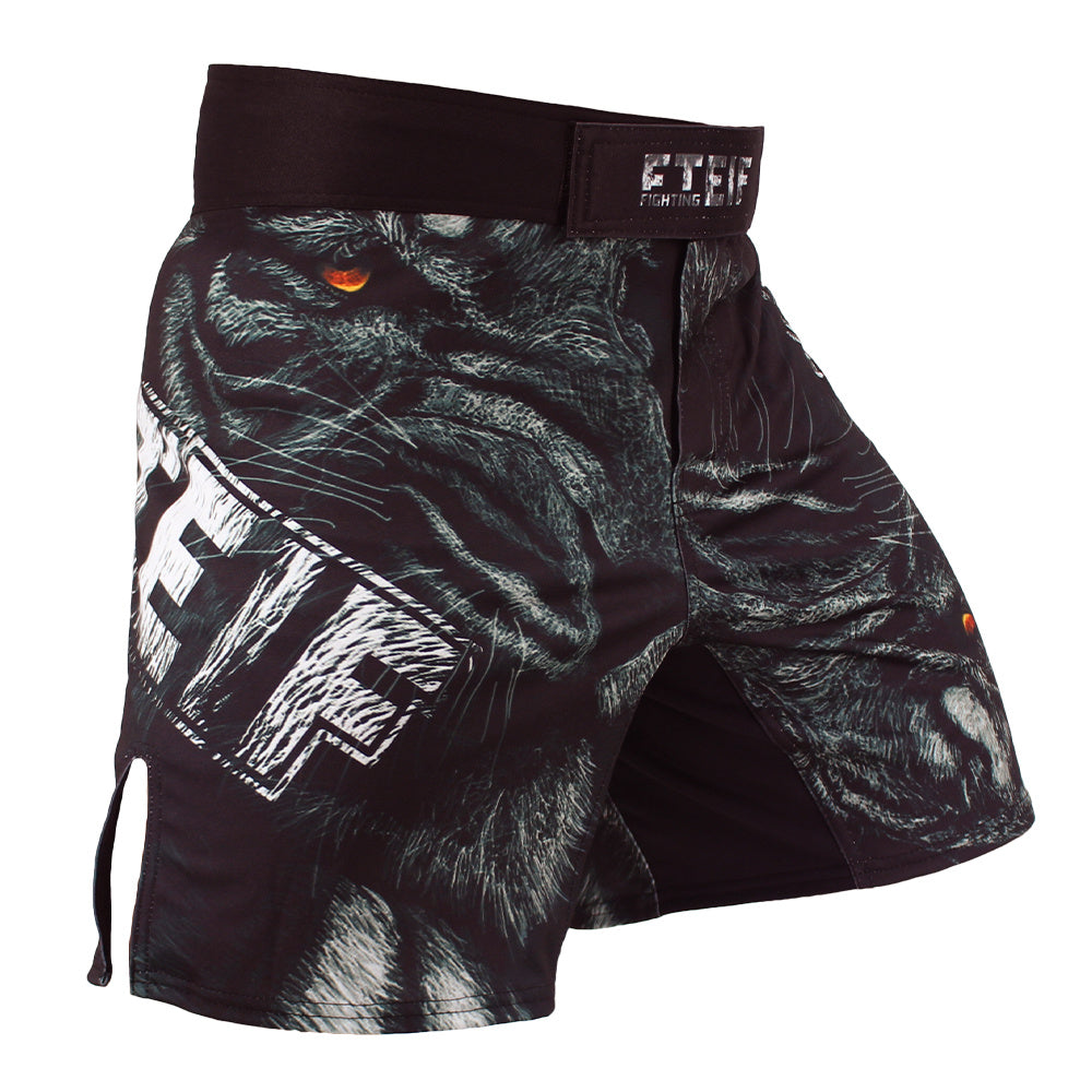 Sanda Fighting Shorts