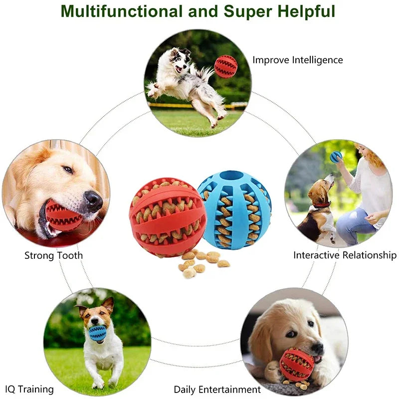 Dog Ball Toys for Small Dogs Interactive Elasticity Puppy Chew Toy Tooth Cleaning Rubber Food Ball Toy Pet Stuff Accessories