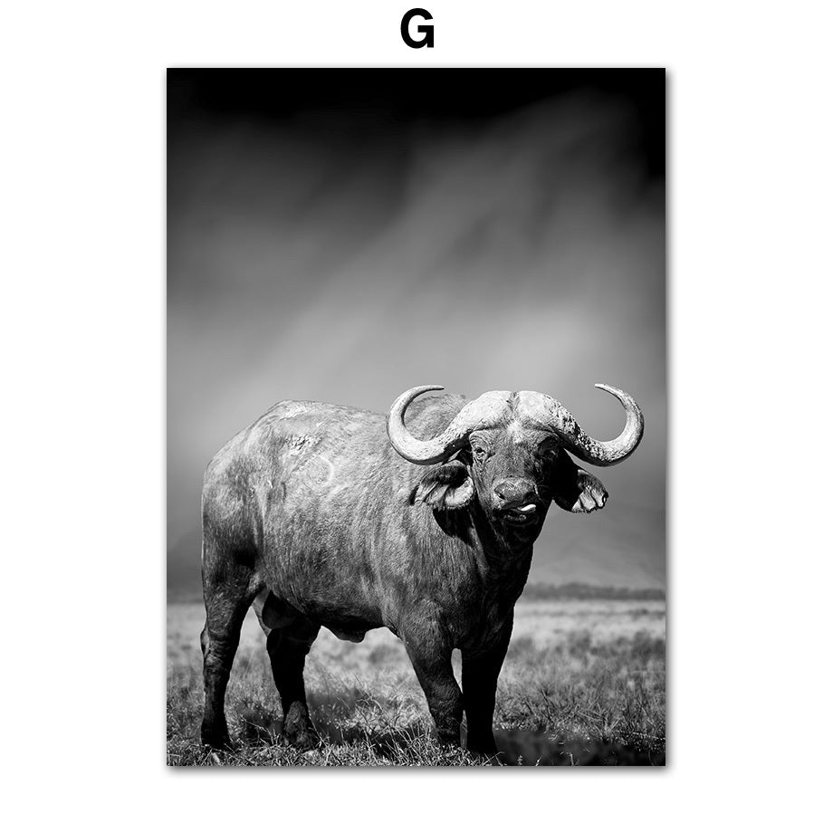 Animal Canvas Poster Art Painting Wall Room Decor Frameless